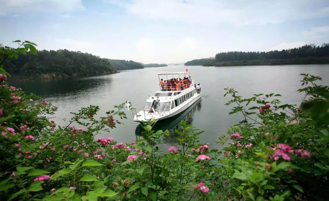 春风十里，不如这8条专享优惠！约惠“女神节”，开启宠爱之旅！