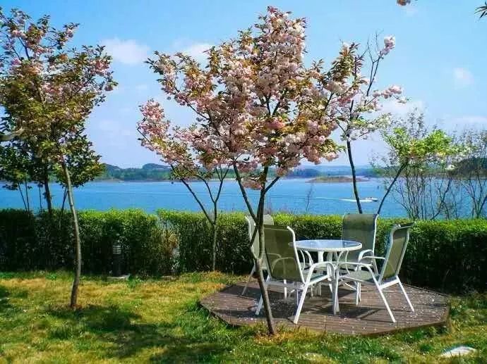 春风十里，不如这8条专享优惠！约惠“女神节”，开启宠爱之旅！