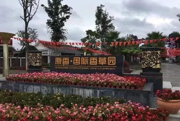 春风十里，不如这8条专享优惠！约惠“女神节”，开启宠爱之旅！