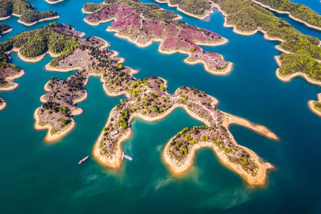 闃冲拰鍚洶鍝佺墿鐨嗘槬涓嬪彞,鎯婅洶杩庝徊鏄ヤ竾鐗╂惡绂忔潵