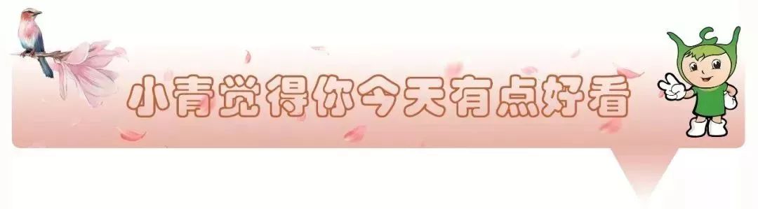 一封表扬信引出的暖心故事,收到学校表扬信的感想