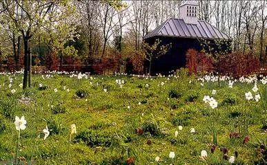 朱林|仪式作为意动叙述——兼论仪式与戏剧的区别