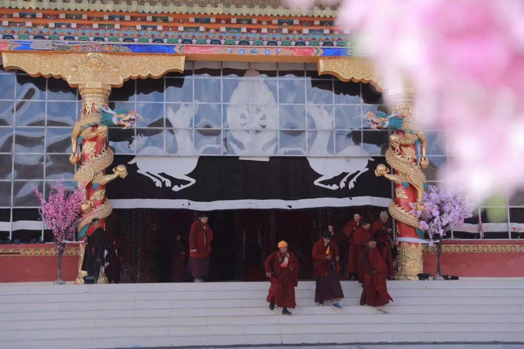 丹真绒布仁波切上师,丹真绒布上师祈请文