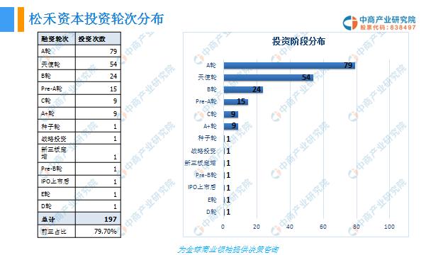 鏉剧璧勬湰鎶曡祫鍒嗘瀽,鏉剧璧勬湰鎶曡祫绛栫暐