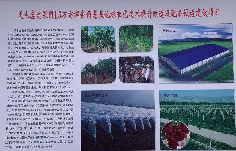 市级重点项目迎来开工新热潮,麦积区恒庆名城17栋