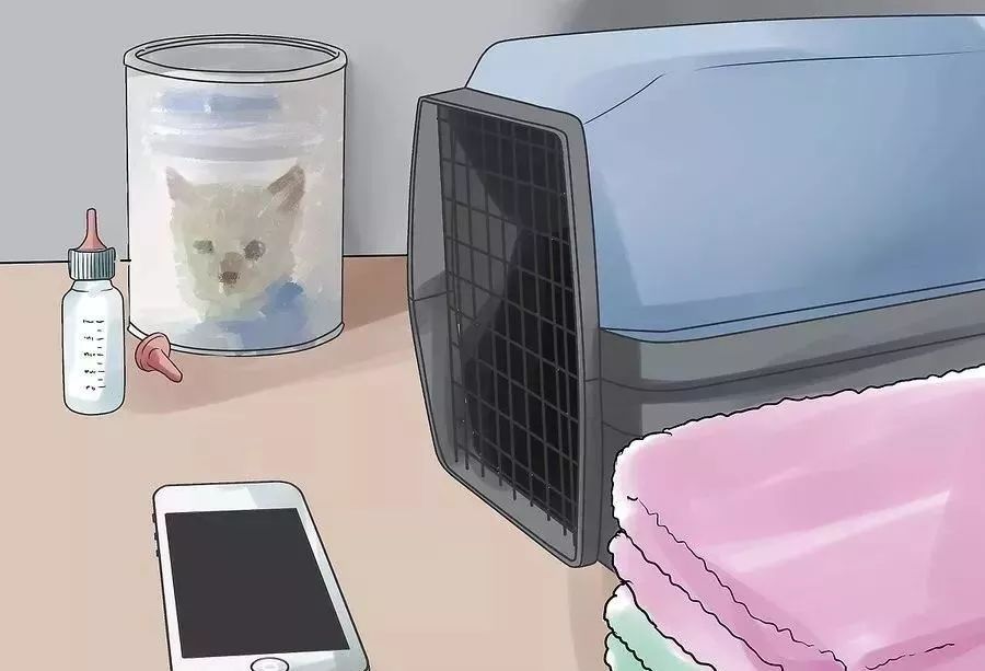 小猫生小猫难产主人帮忙接生,怎么给小猫接生和剪脐带