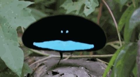 怎么骚气打招呼,如何骚气的发消息