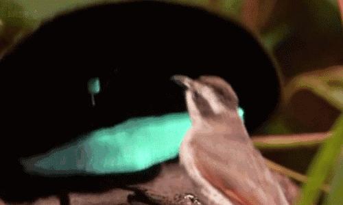 怎么骚气打招呼,如何骚气的发消息