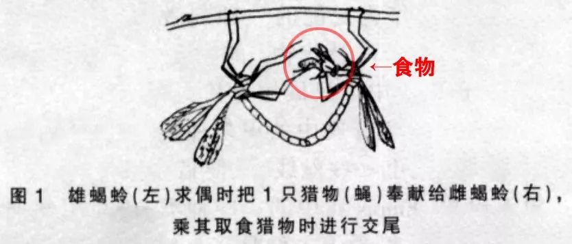 怎么骚气打招呼,如何骚气的发消息