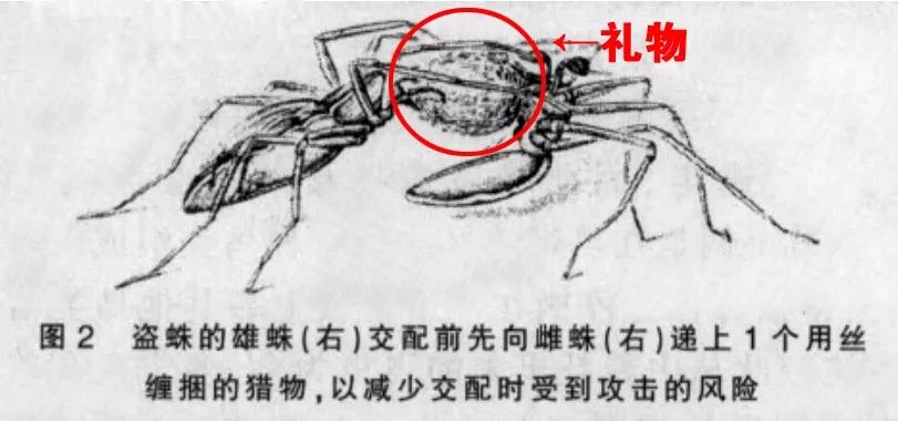 怎么骚气打招呼,如何骚气的发消息