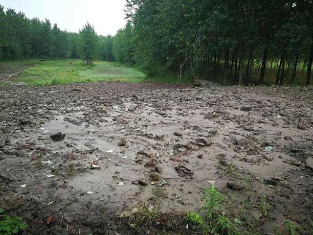 2019/3/7,678全力推进检察公益诉讼为建设美丽荆州筑牢“司法屏障”