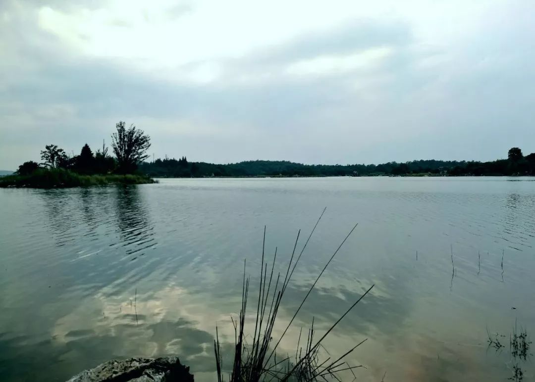 2019/3/7,678全力推进检察公益诉讼为建设美丽荆州筑牢“司法屏障”