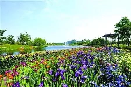 “女神节”福利!上海这些地方半价、免费,还有精彩活动!姐姐妹妹约起来啦