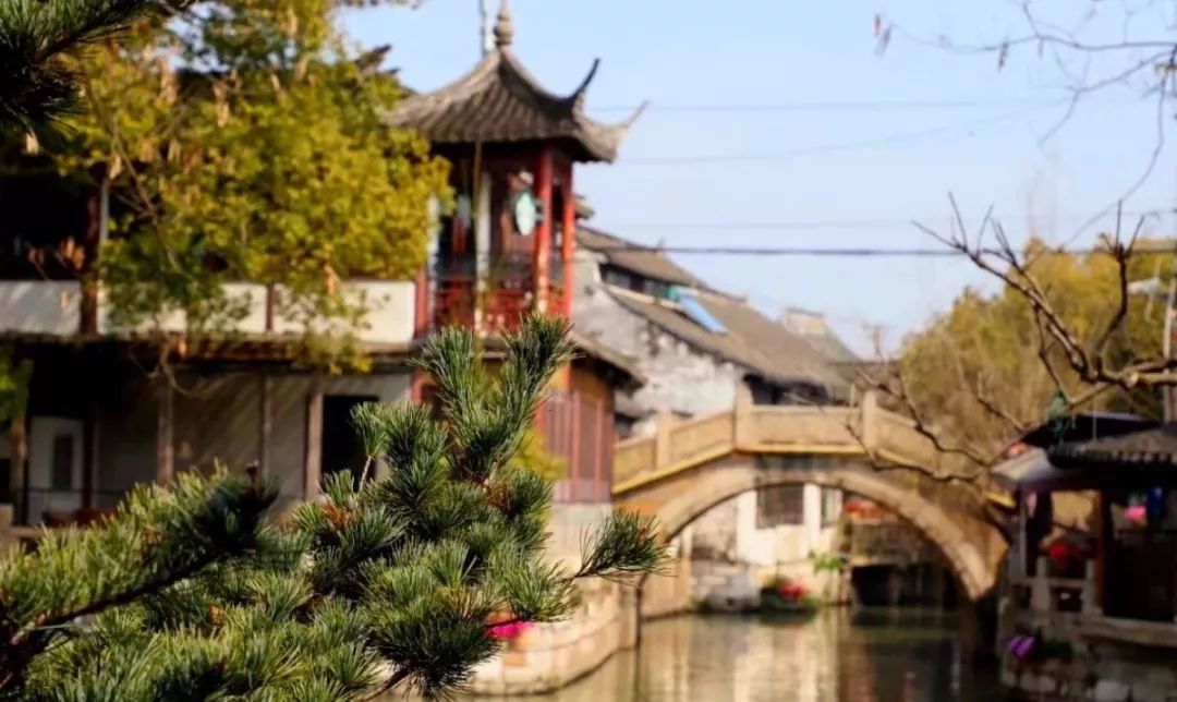 “女神节”福利!上海这些地方半价、免费,还有精彩活动!姐姐妹妹约起来啦