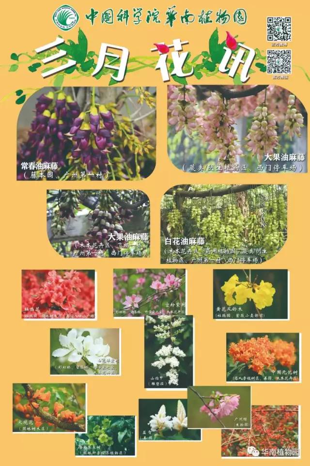 最便宜广州塔游玩攻略,广州塔268元套票攻略