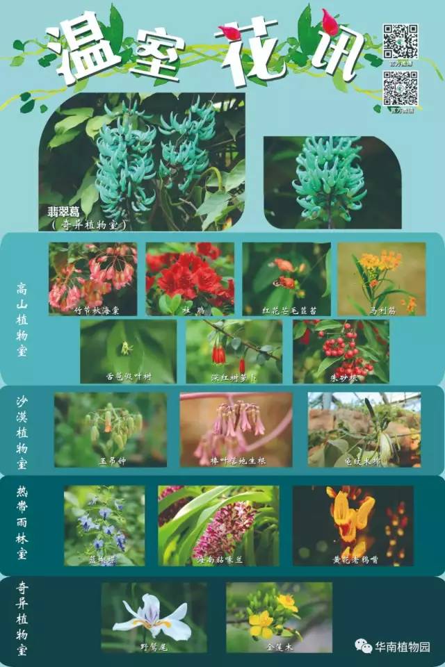 最便宜广州塔游玩攻略,广州塔268元套票攻略