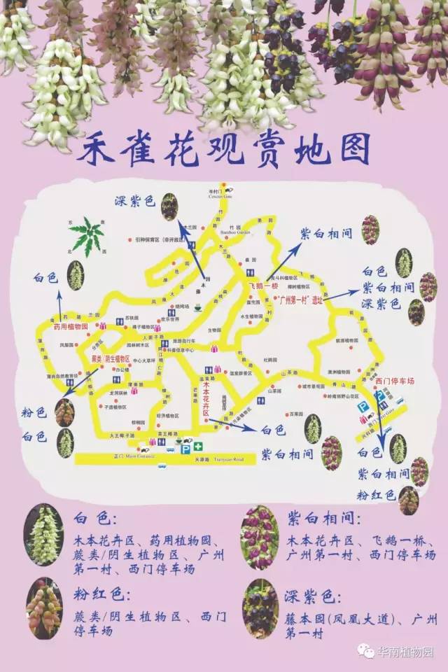 最便宜广州塔游玩攻略,广州塔268元套票攻略