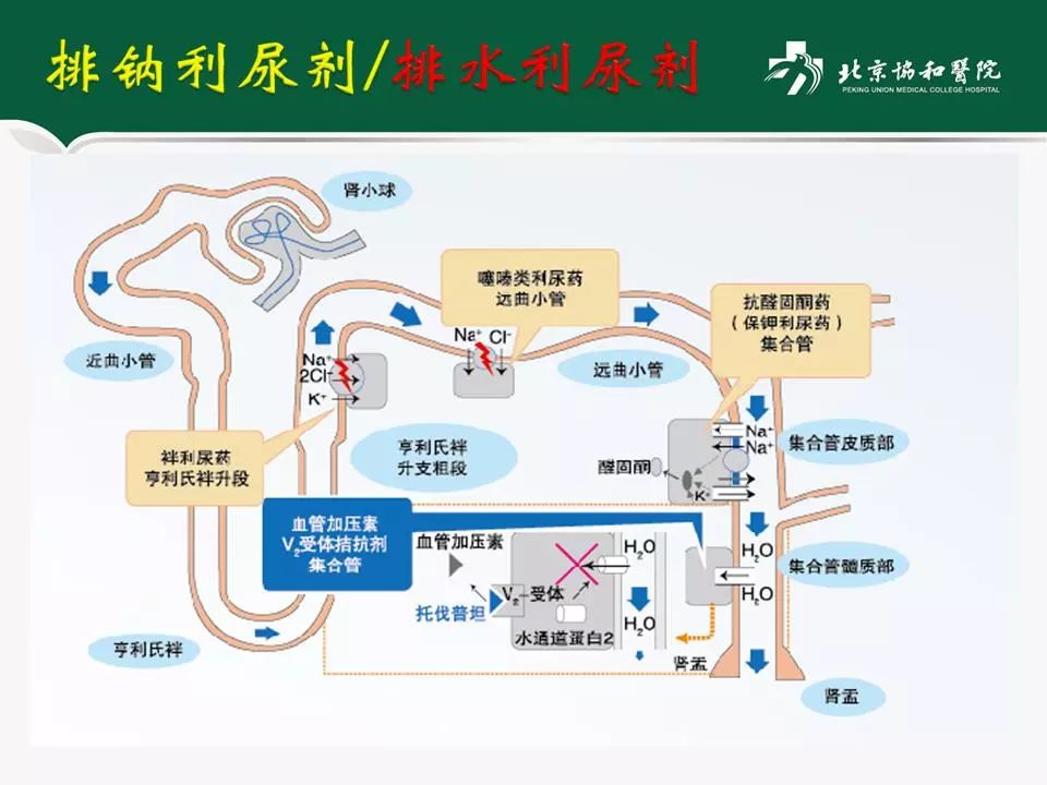 方理刚医生怎么样,心力衰竭诊断与治疗最新进展