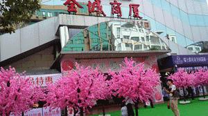 玉林桃花打卡地,玉林附近花海打卡地点推荐