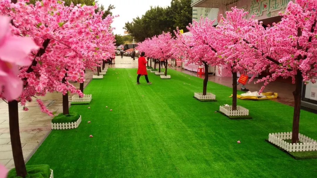 玉林桃花打卡地,玉林附近花海打卡地点推荐