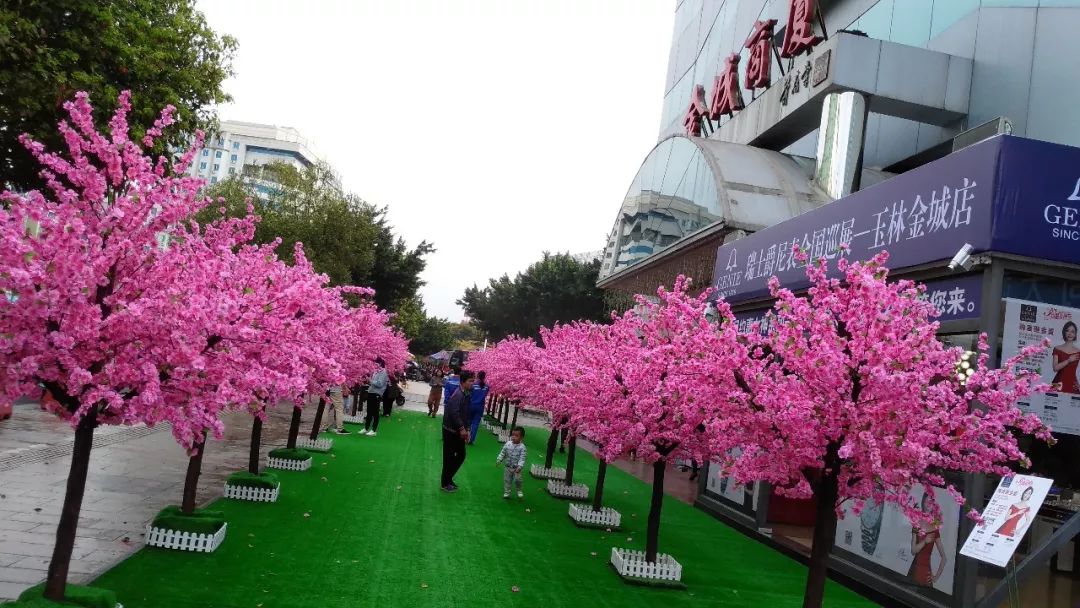玉林桃花打卡地,玉林附近花海打卡地点推荐