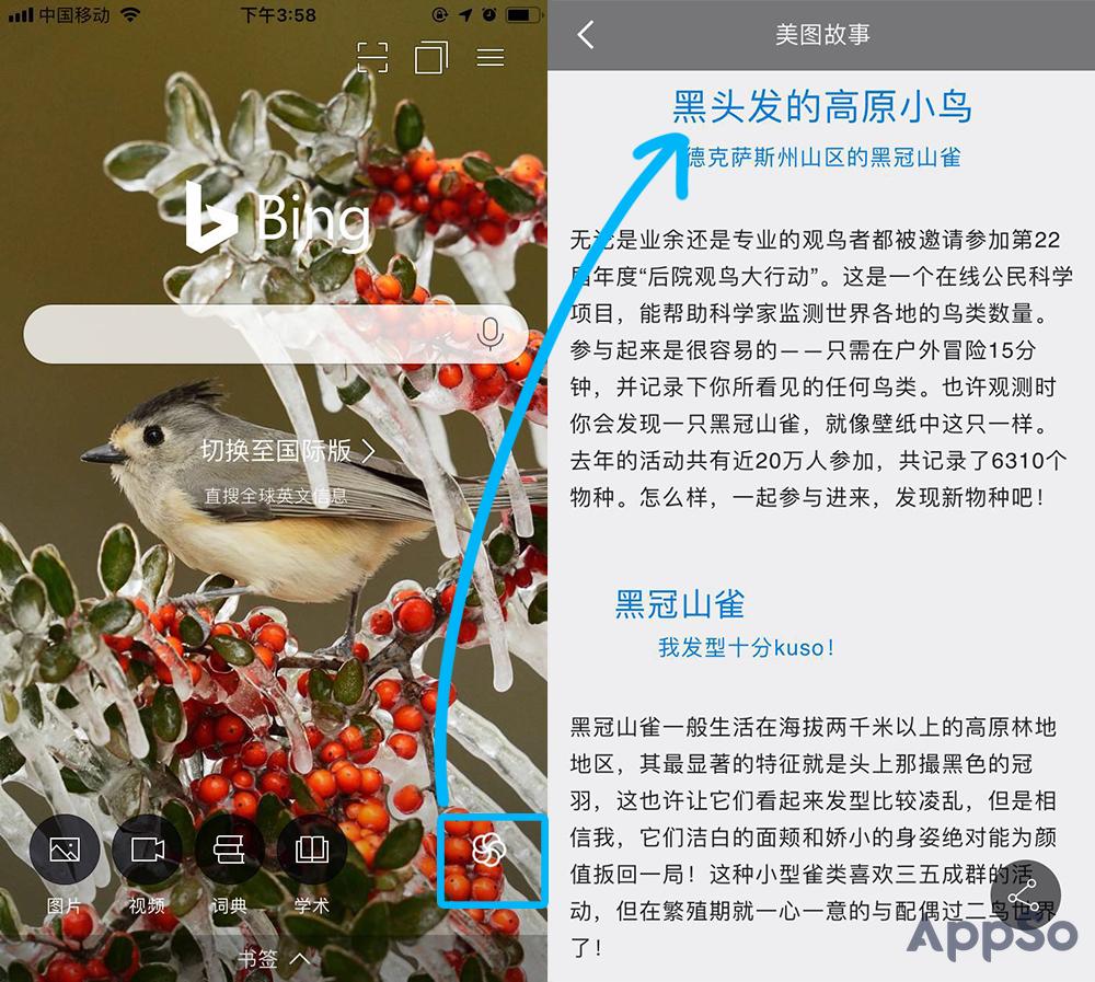 总是找不到好看的壁纸,总找不到喜欢的壁纸