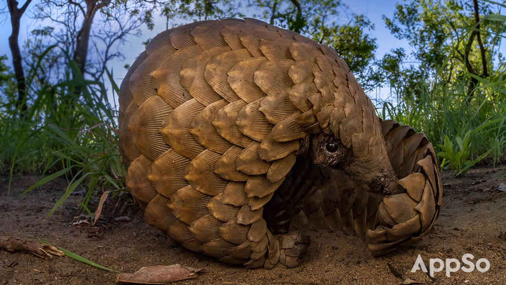 总是找不到好看的壁纸,总找不到喜欢的壁纸