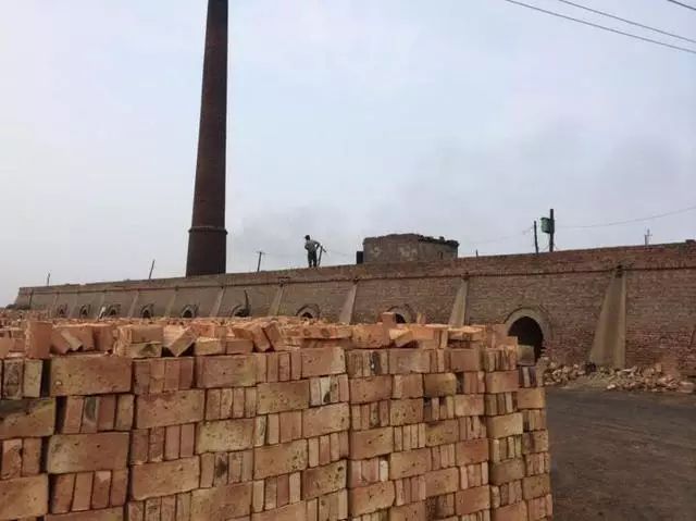 古代的龙和老虎哪个厉害,历史上的龙和老虎谁厉害