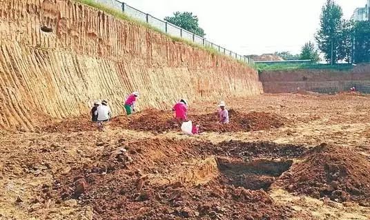 古代的龙和老虎哪个厉害,历史上的龙和老虎谁厉害