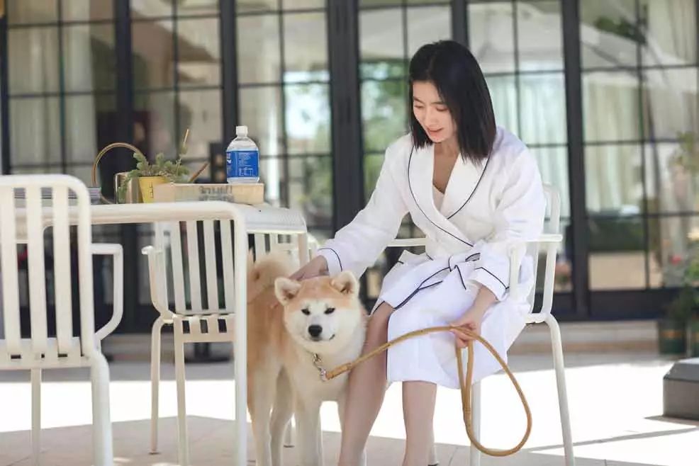 三利毛巾2024年新品发布会直播,三利毛巾2024年新品发布会直播间