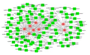 怎么把文献里的图表弄出来编辑,看文献有看不懂的图表怎么办