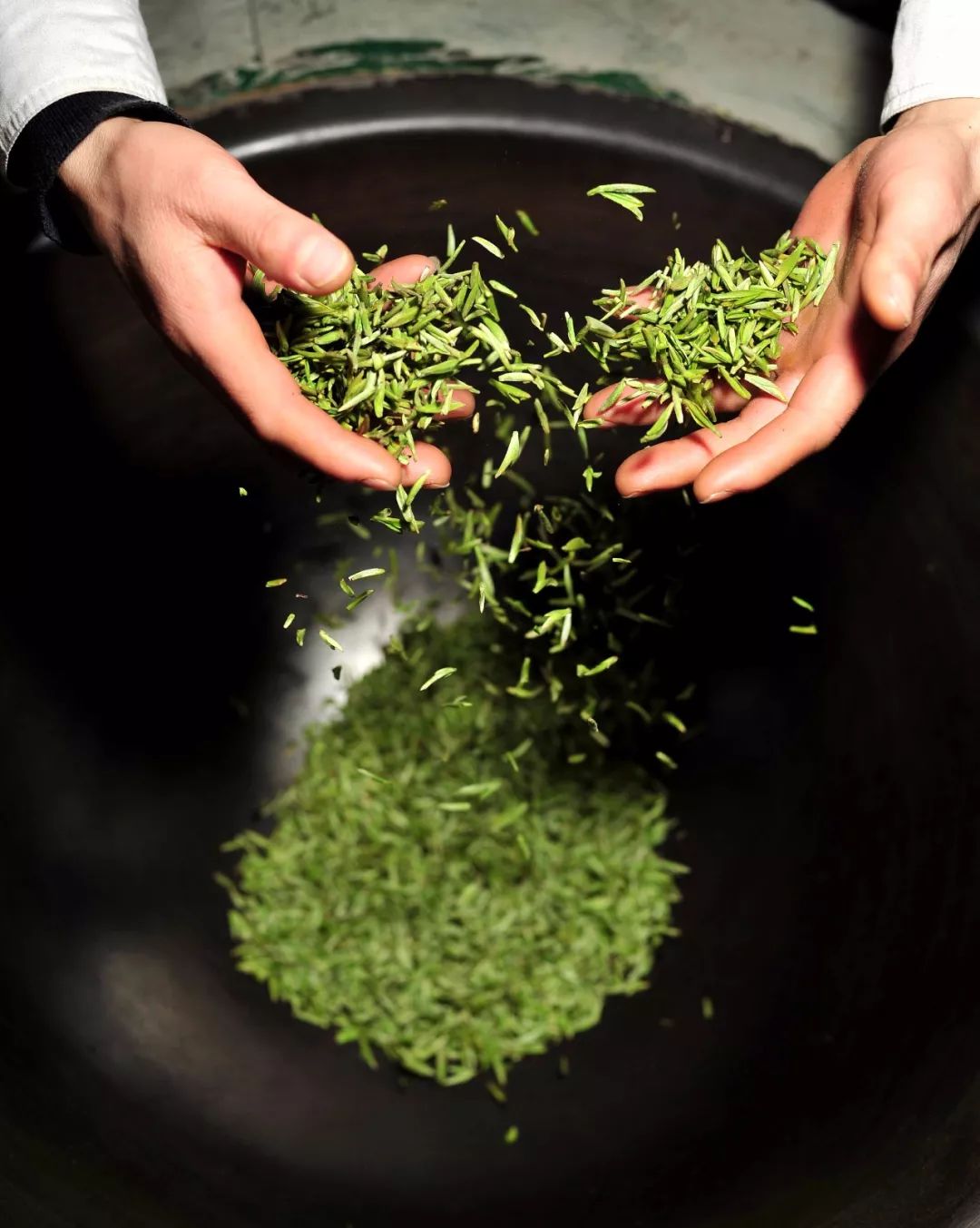 川茶峨眉山竹叶青,川茶竹叶青走向世界的视频