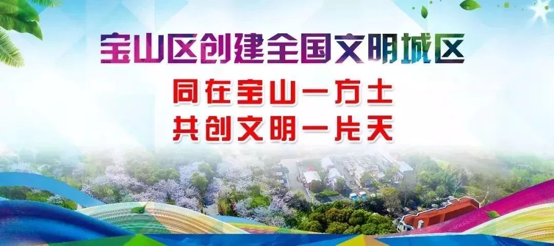 行知二中属于几梯队,行知二小分流会分到哪个学校