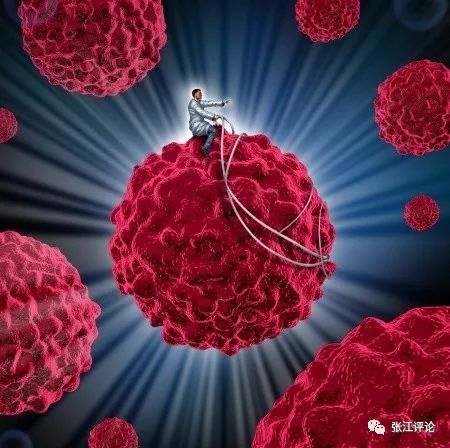 癌症治疗史上的革命：靶向治疗和免疫治疗