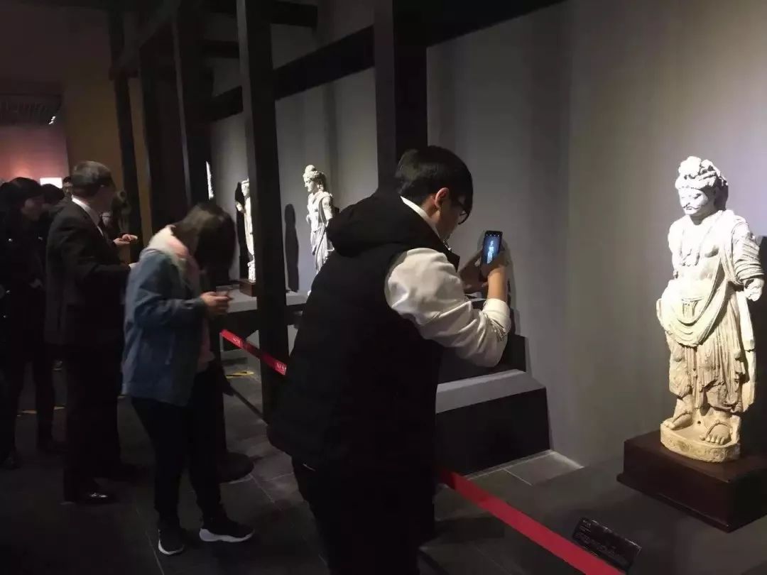 旅游微刊|西安的春天是粉色的！