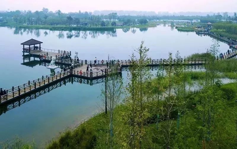 旅游微刊|西安的春天是粉色的！