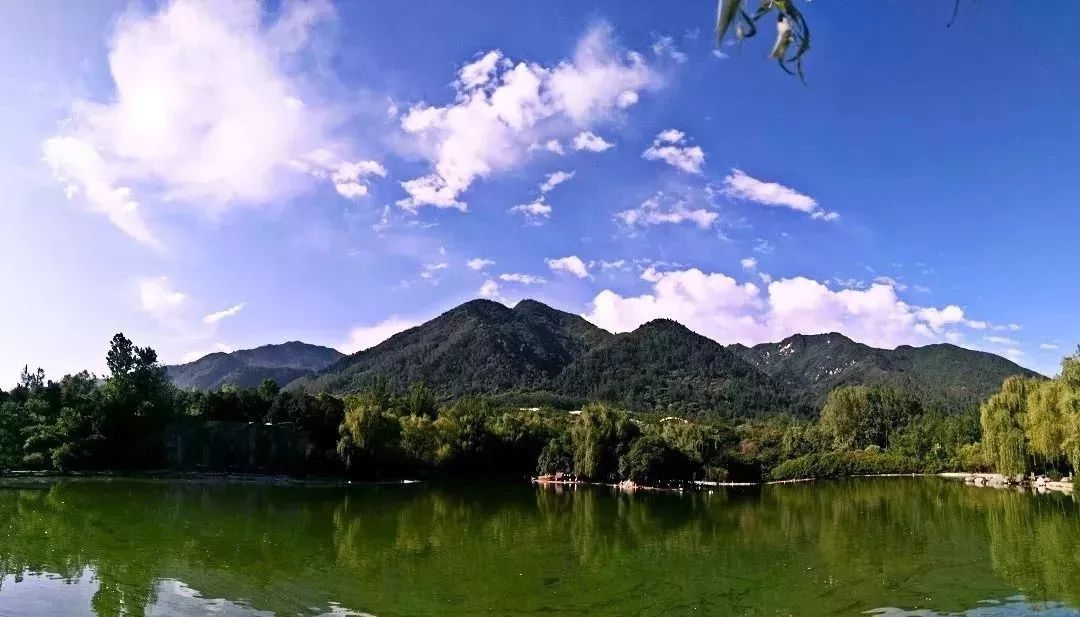 旅游微刊|西安的春天是粉色的！