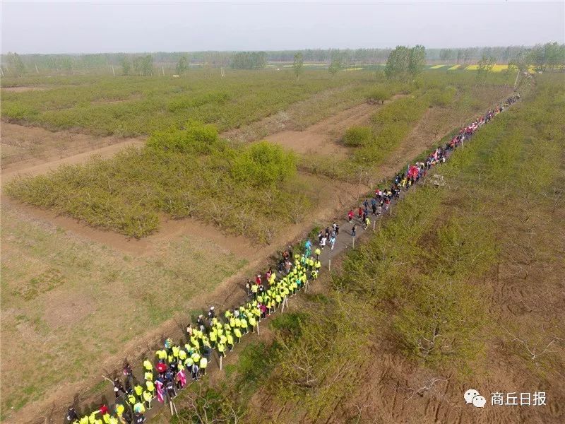 黄河故道徒步穿越,黄河故道湿地花海