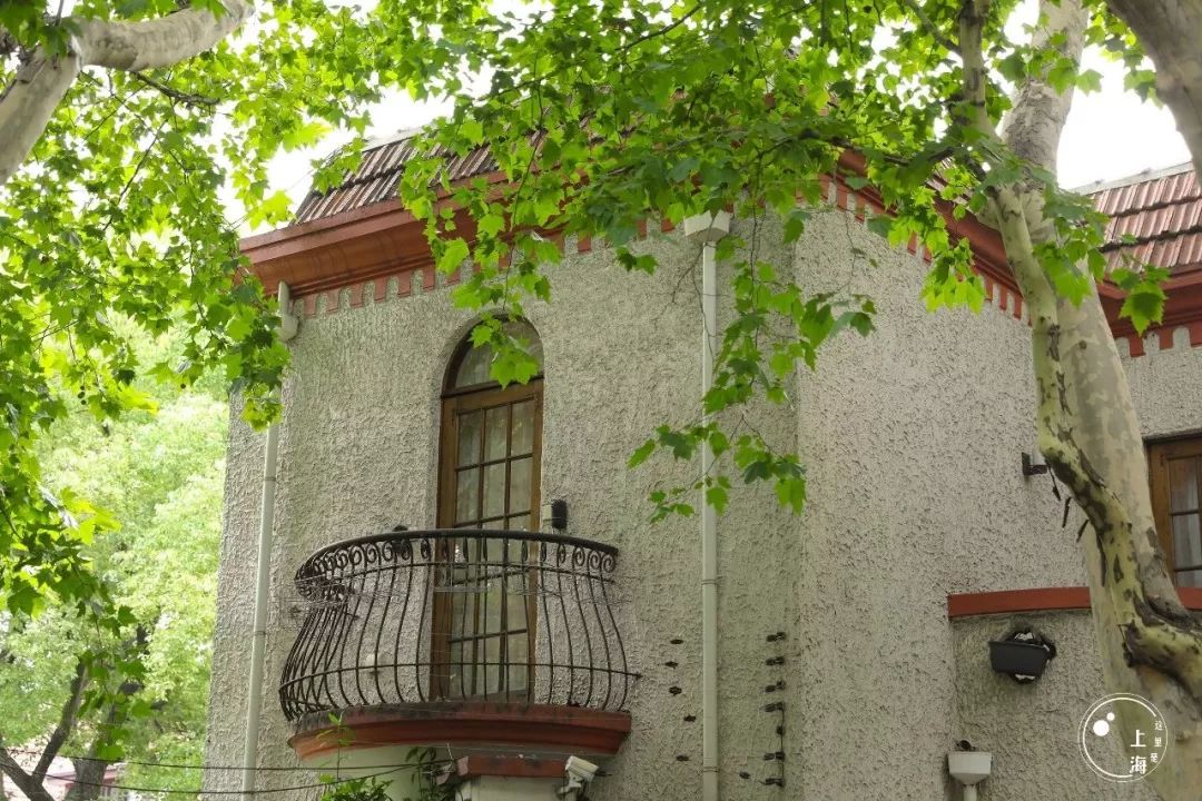 吵翻了！魔都16区终于正面PK！哪个是你心中的C位担当？