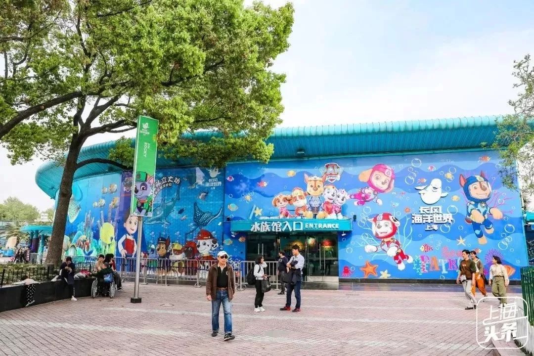 吵翻了!魔都16区终于正面PK!哪个是你心中的C位担当?