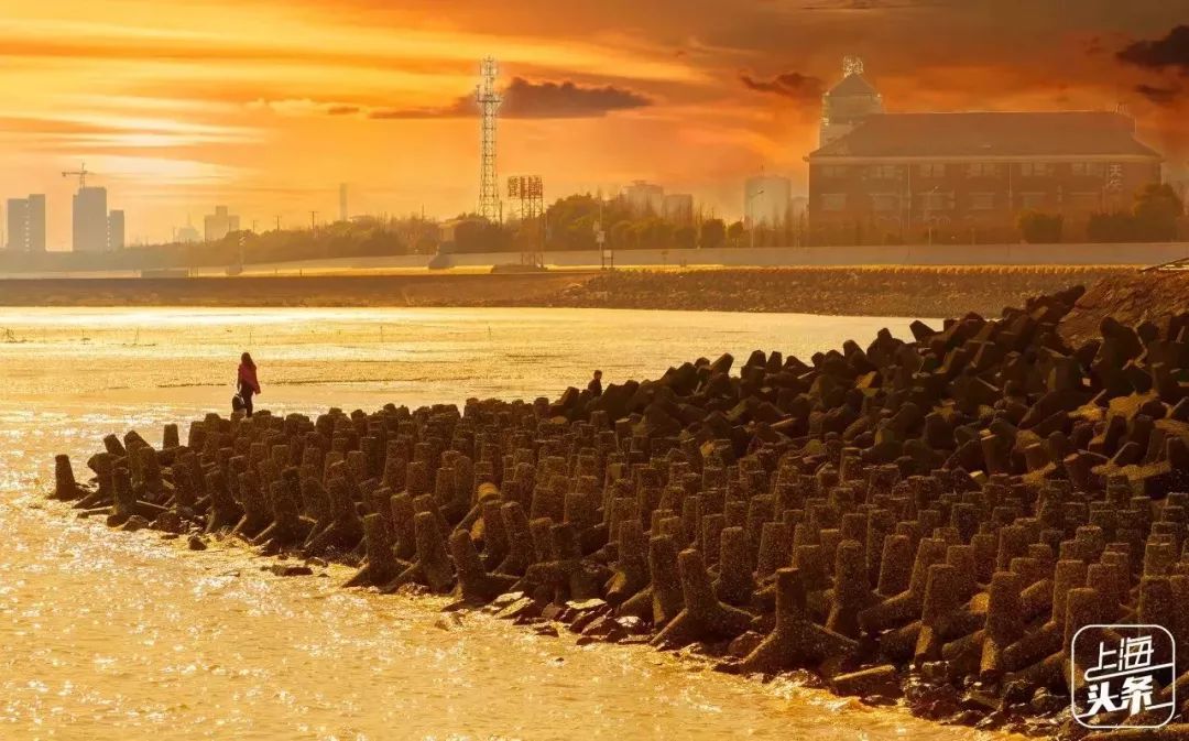 吵翻了!魔都16区终于正面PK!哪个是你心中的C位担当?