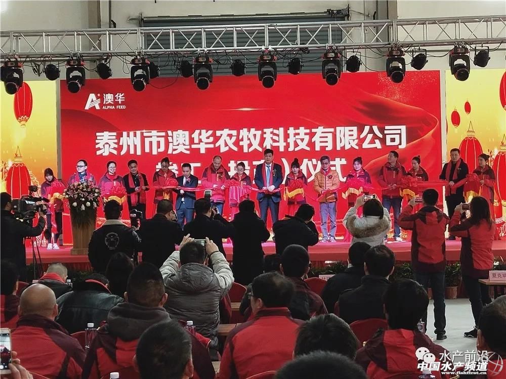 许愿斌为什么离开澳华,许愿斌哪里人