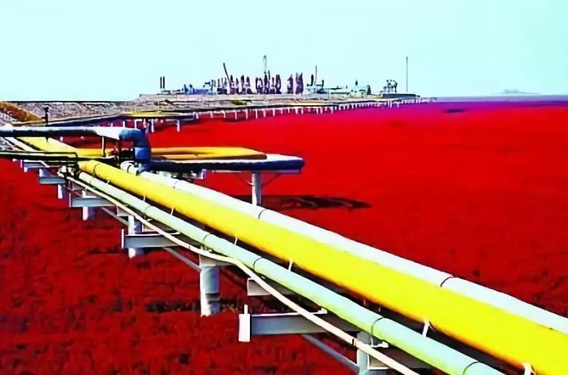 油气管道泄漏事故,油气管道泄漏应急处置