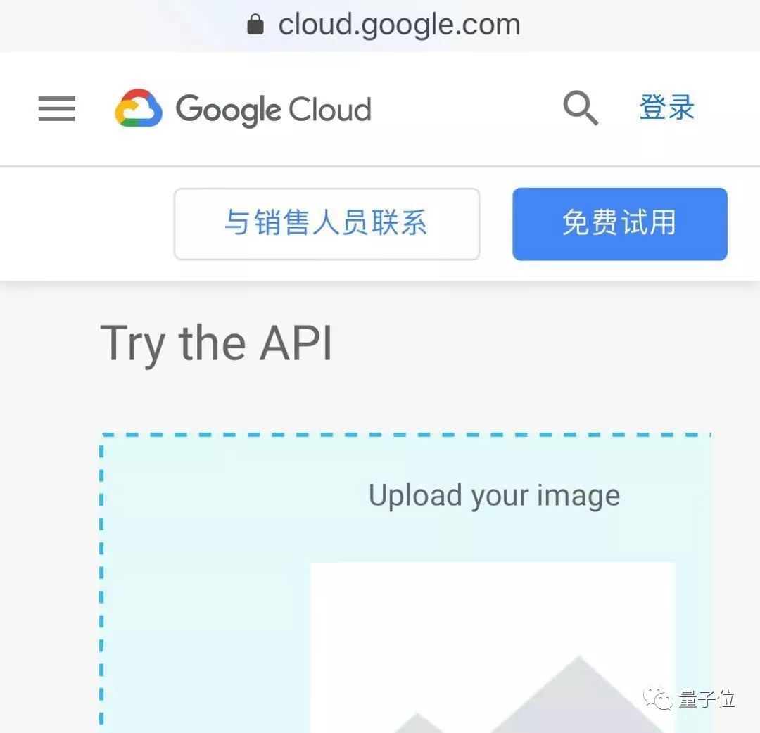 百年老图难倒谷歌AI,网友:是鸭是兔?连我都不能确定