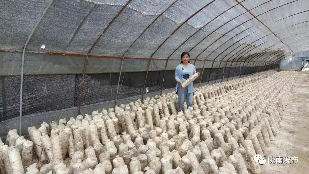 陇南徽县石滩梁倩娟,陇南梁倩娟