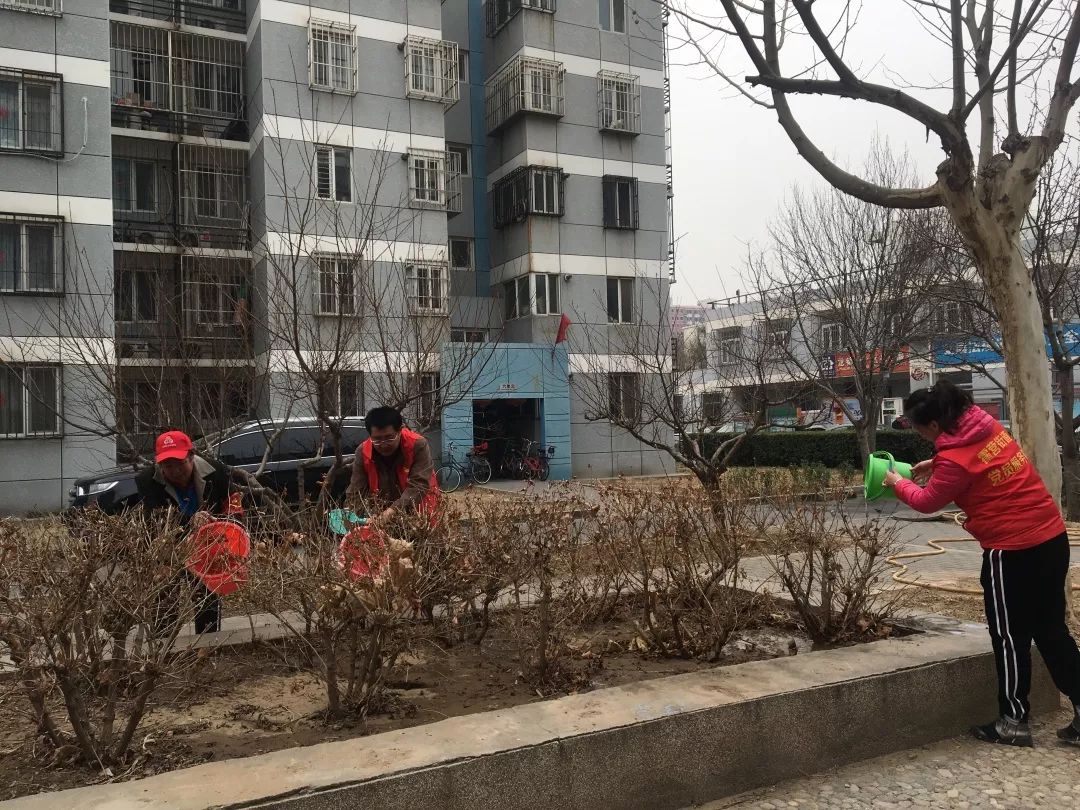 阳春三月春暖花开春意浓,阳春三月春暖花开有你陪伴真好