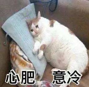 神仙级“空调床单”！别人睡两个夏天了你居然还没拥有？！