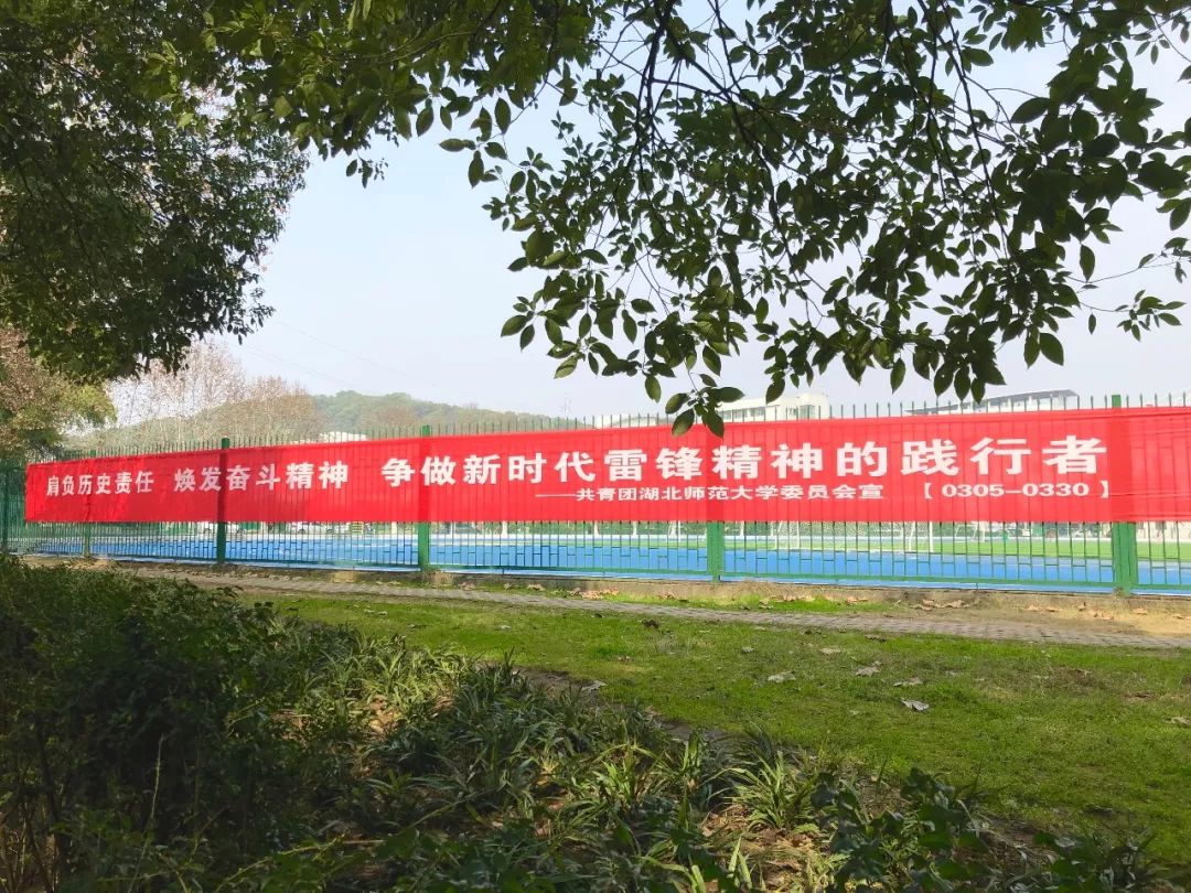 一封表扬信引出的暖心故事,收到学校表扬信的感想