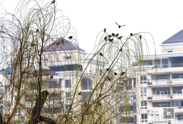 武汉晴空万里照片,武汉风和日丽