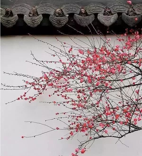 人民日报整理100个最常误用的成语,人民日报总结的常被误用的成语